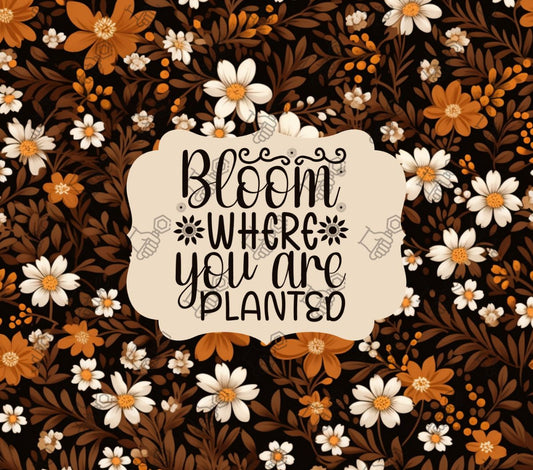 Bloom where you are planted (Brown)